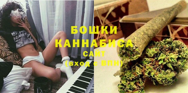 2c-b Пестово