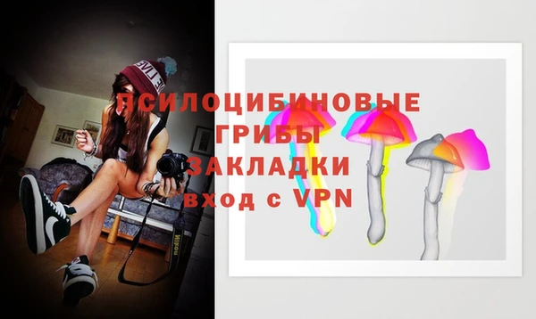 ALPHA PVP Куйбышев