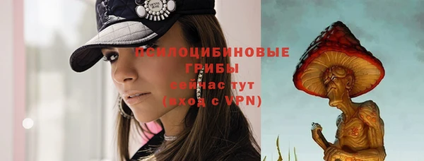 винт Михайлов