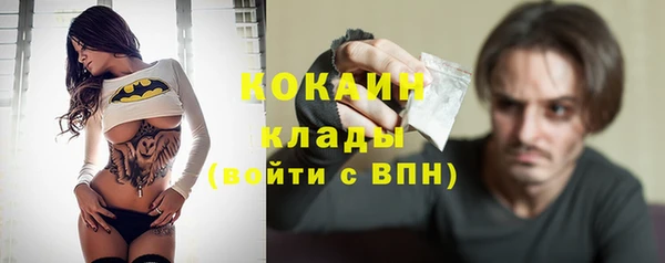 ALPHA PVP Куйбышев