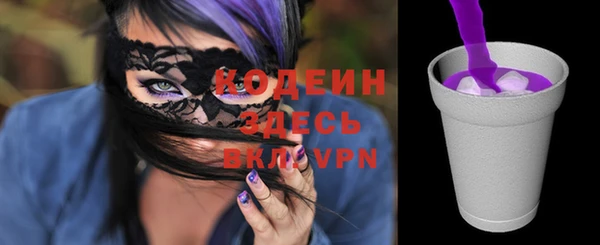 сатива Кулебаки
