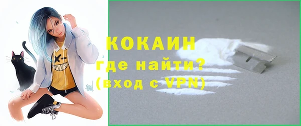 сатива Кулебаки