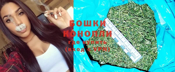 сатива Кулебаки