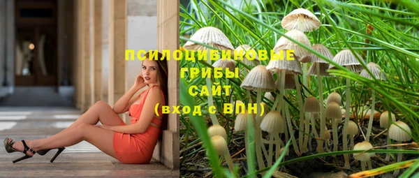 прущая мука Кукмор