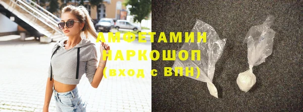сатива Кулебаки