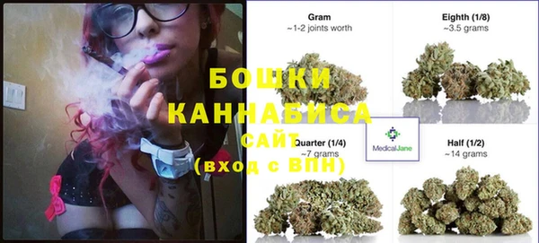 сатива Кулебаки