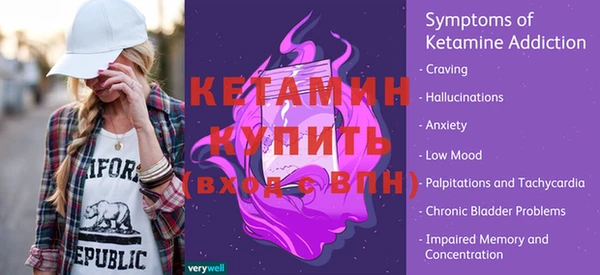 сатива Кулебаки