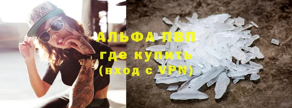 сатива Кулебаки