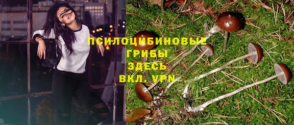 винт Михайлов