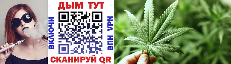 Конопля гибрид Дорогобуж